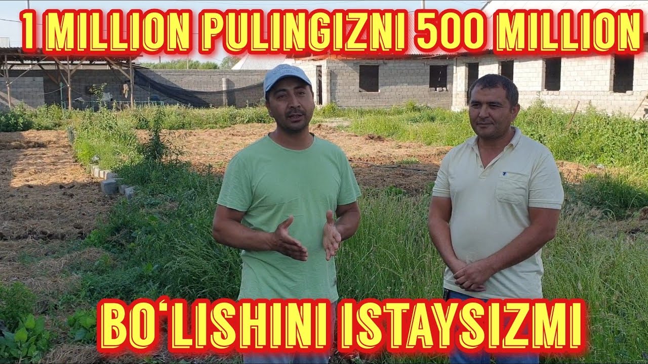 Biogomus yetishtirish haqida to‘liq ma‘lumot.