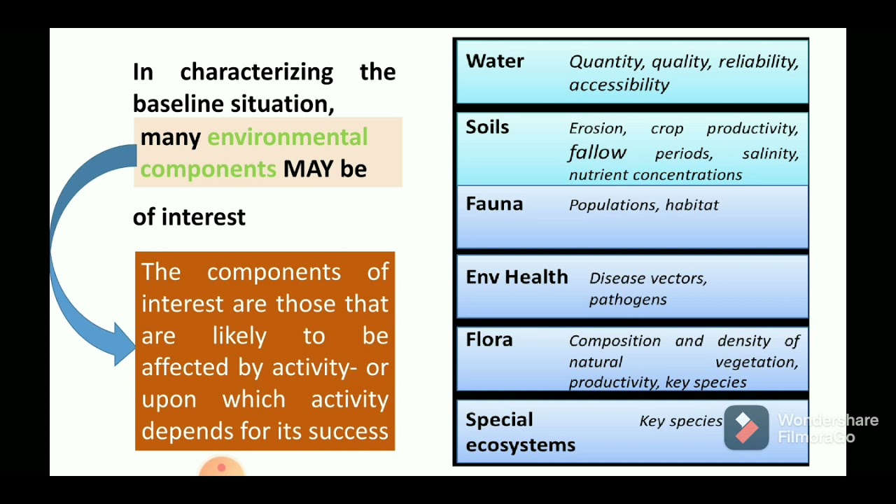 EIA( environment impact assessment ) and Environmental Clearance (EC) of Mining Projects in India
