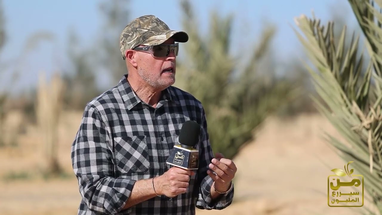 مزرعة نخيل مذهلة في قلب صحراء المنيا.. أصناف أشكال وألوان ونجاح جبار