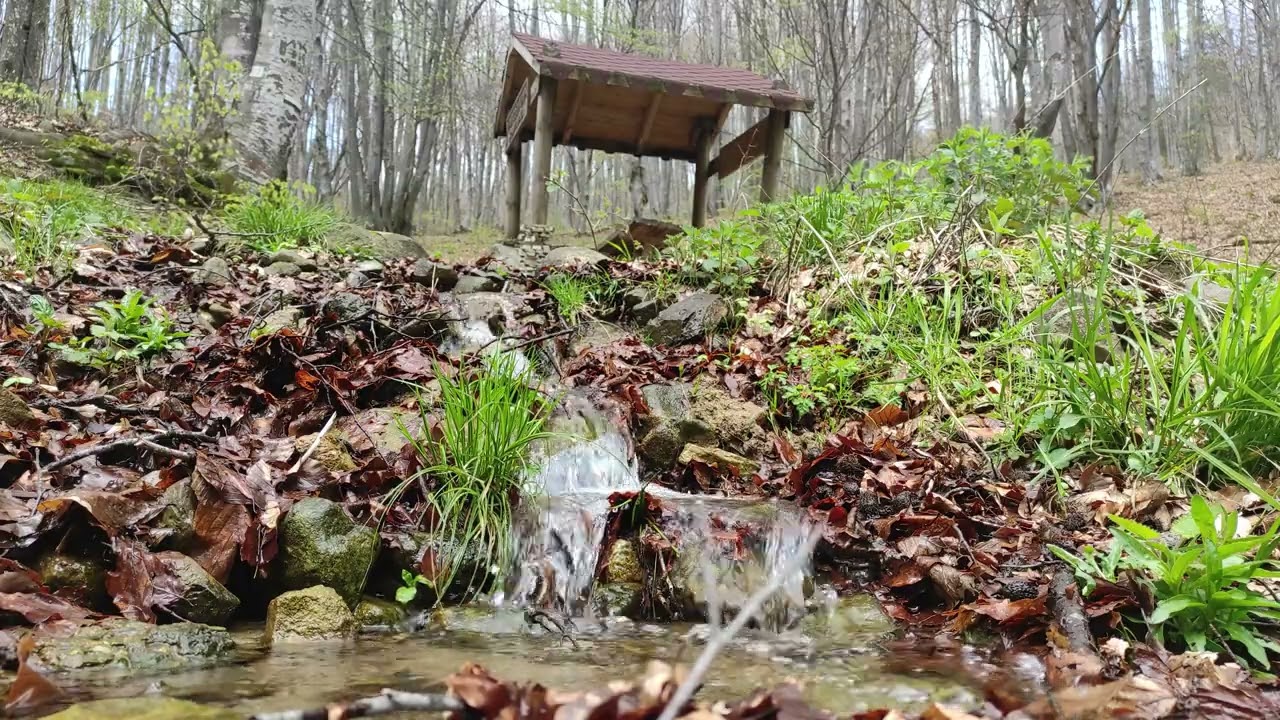 Little Babbling Brook and a Small Wooden Gazebo: Journey to Serenity
