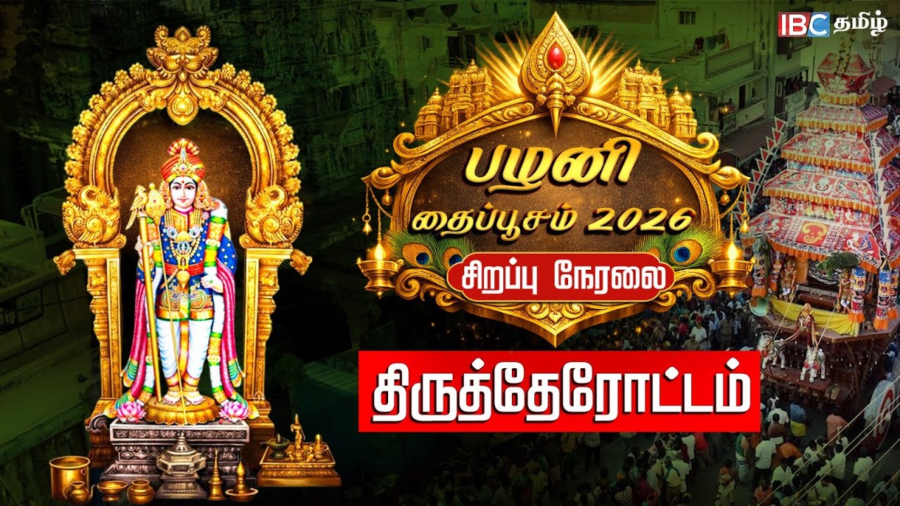 🔴 LIVE: பழனி தைப்பூசம்  திருத்தேரோட்டம் 2026  | Palani Thaipusam 2026 | Murugan Temple | IBC Tamil