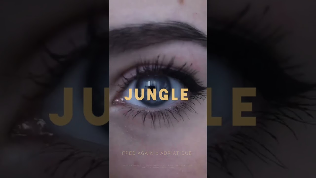 Fred Again - Jungle (Adriatique Remix) (Official Visualiser)
