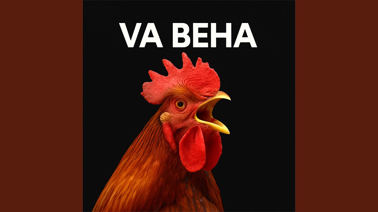 VA BEHA