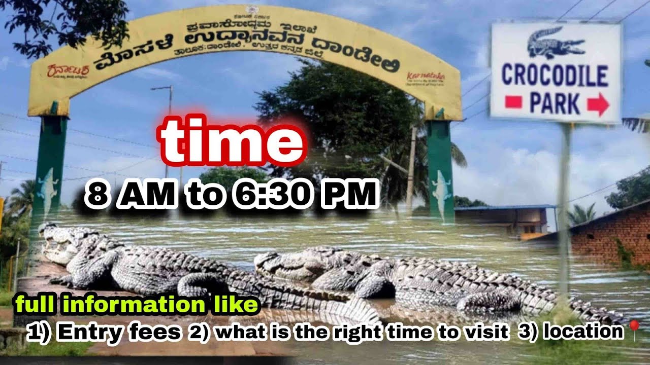 karnataka's first crocodile park in dandeli | crocodilepark Dandeli | #crocodilepark