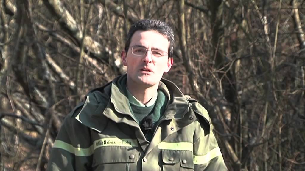 Vidéo interactive forêt Orléans métier garde forestier ONF commerce bois protection de la nature