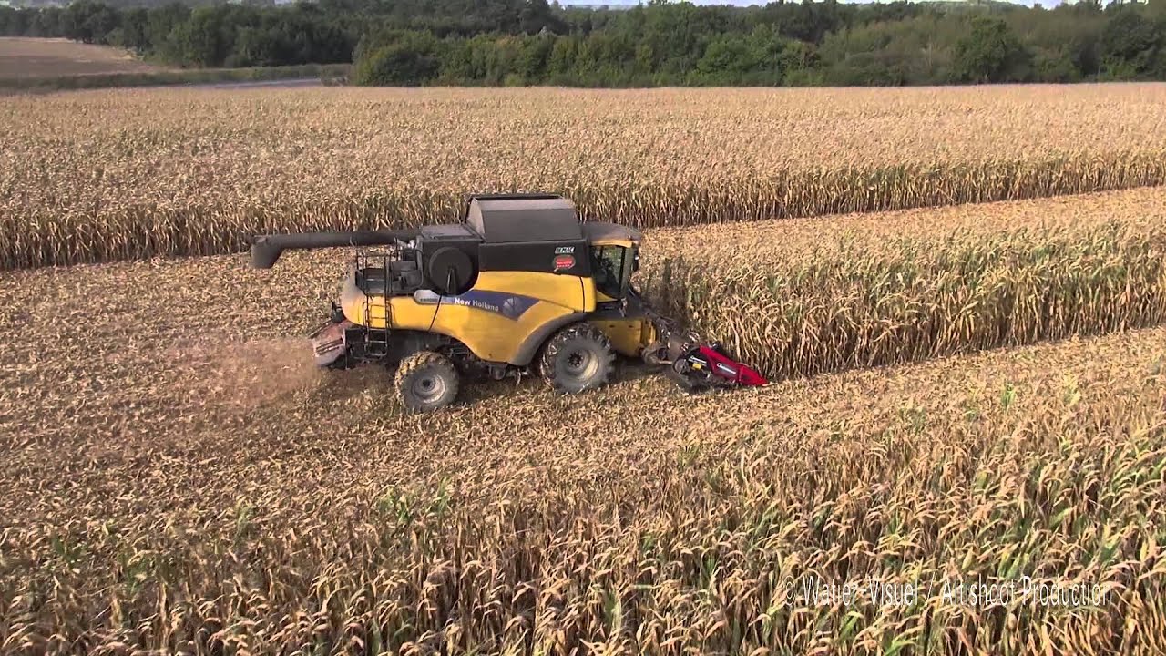 Récolte maïs grain avec  N-Holland CR 9080 et cueilleur Geringhoff