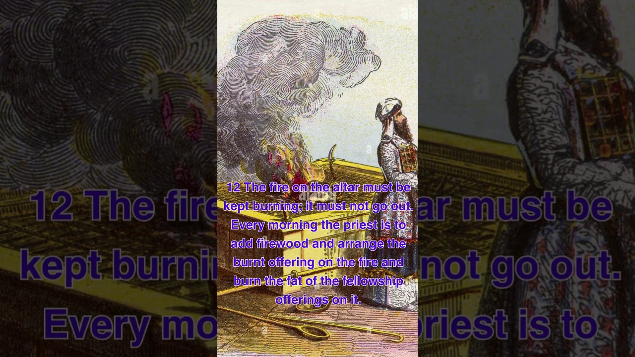 Leviticus 6:11-12 (CJB / NIV) Versions 'Guilt Offering'