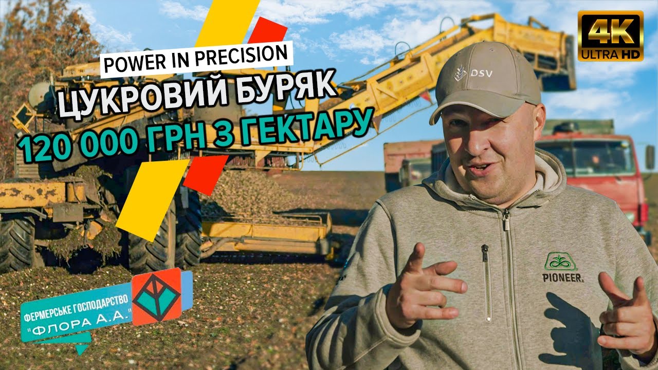 Скільки можна заробити на цукровому буряку?🤑 Досвід господарства Флора А. А.
