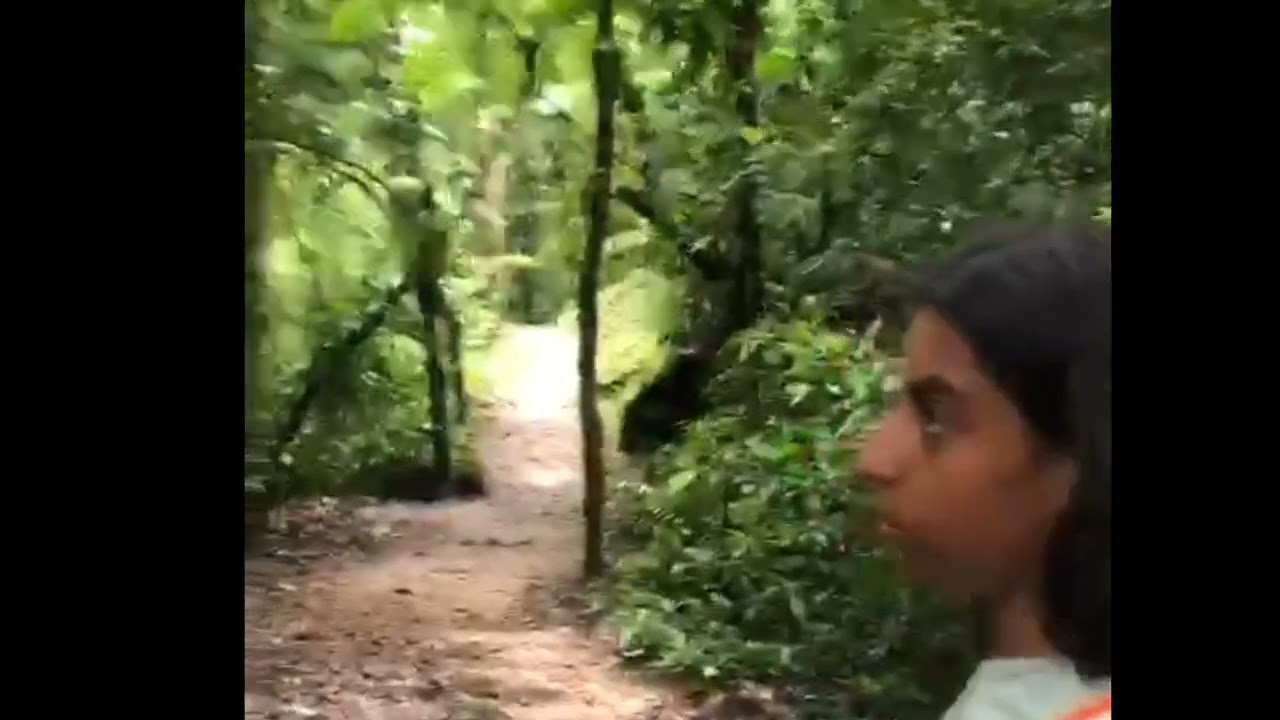 perigo e belezas da cachoeira do chá 😱