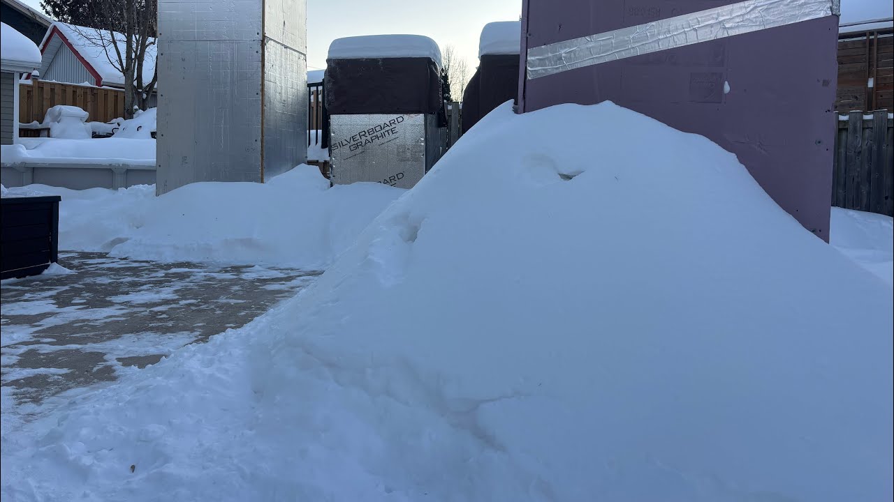 A quick yard update, snowmageddon January 26, 2026