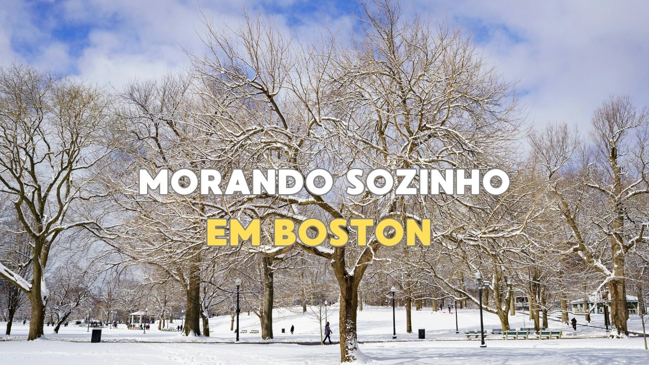 UM DIA COMIGO MORANDO NOS ESTADOS UNIDOS E FRIO DE CONGELAR