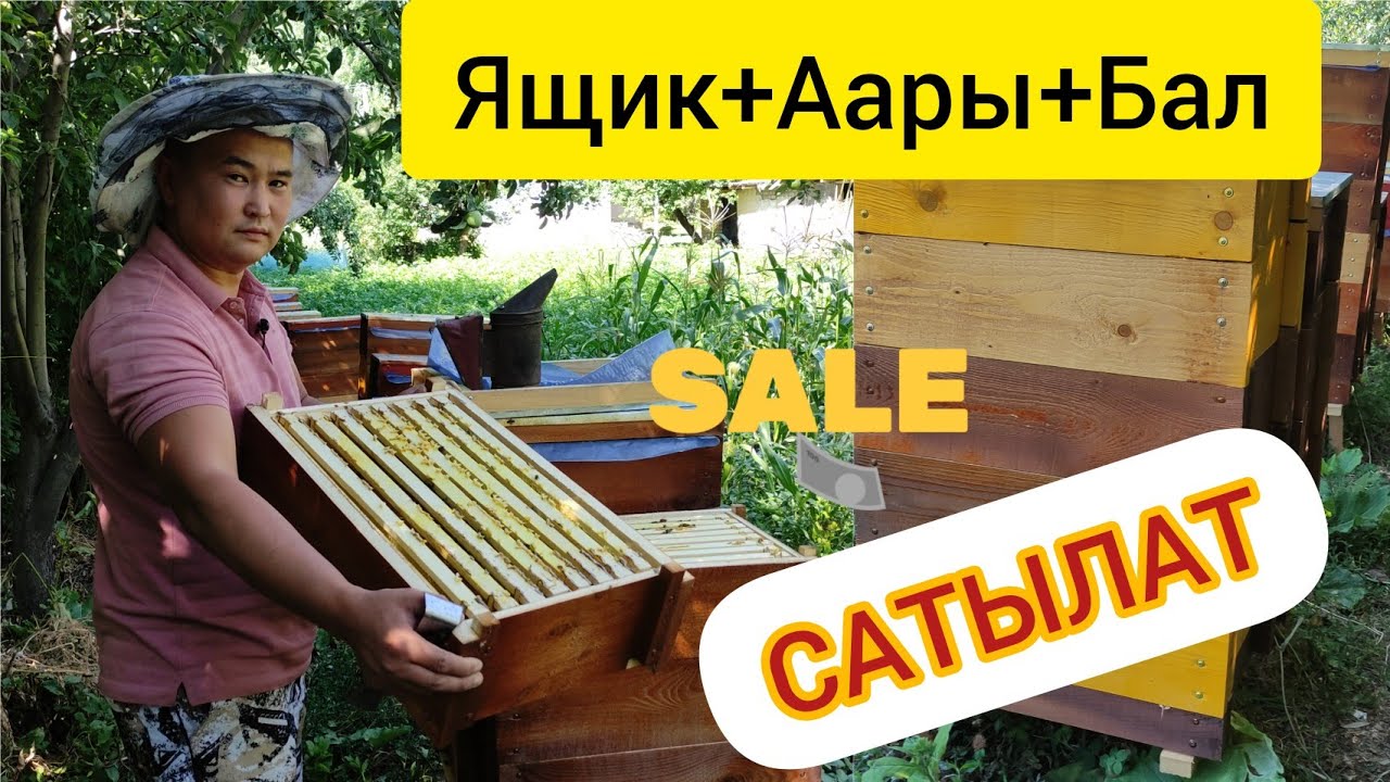 Аарыны тандап Балын ал / Ящикти  коруп Баарын Ал.
