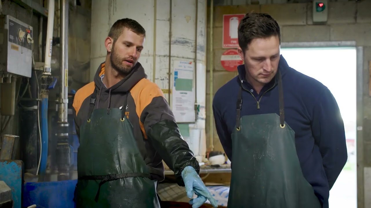 A day in the life of dairy farmer Harry | Dairy Careers #dairyfarming