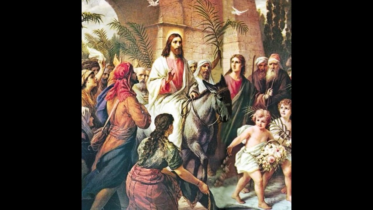 ذكصولوجية احد السعف