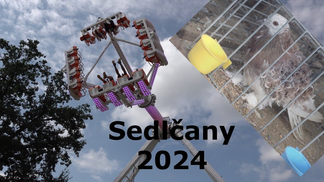 Sedlčanská pouť a chovatelská výstava 2024