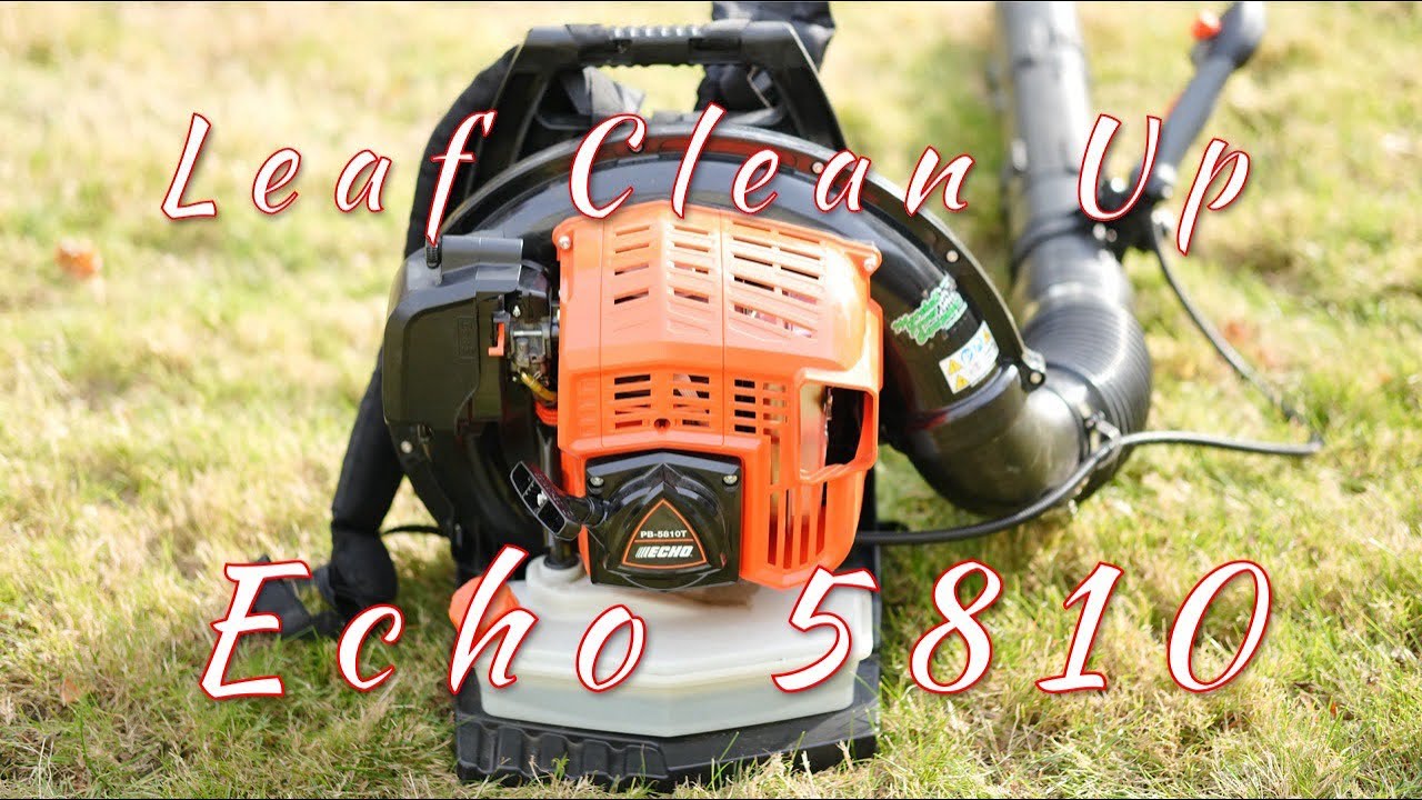 Leaf Clean Up Echo 5810T #pov #satisfying #contentcreator