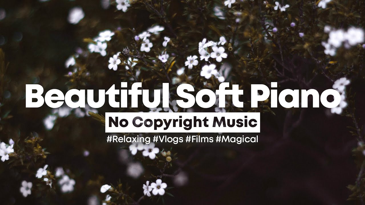 [background music] love grows - relaxing & beautiful soft piano 🤍 | inspiring no copyright music
