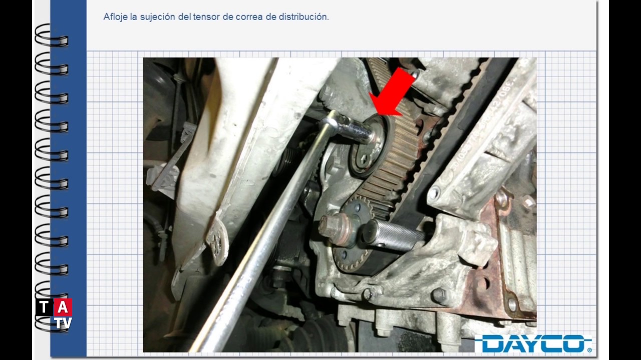 Tutorial Dayco: Sustitución de la Correa de Distribución de Fiat Ducato
