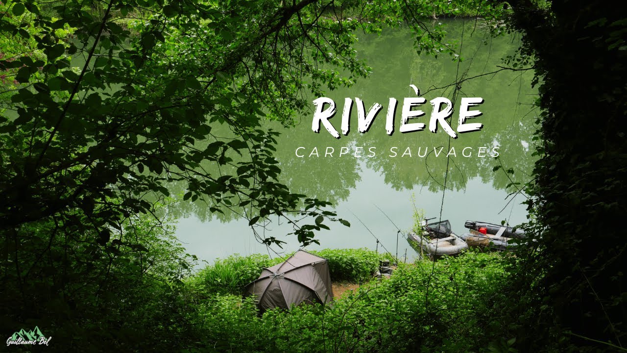 Pêche Spot sauvage de Rivière et ses belles Carpes
