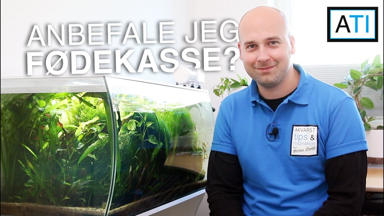 Vil jeg anbefale brug af fødekasse (til bla. guppyer)