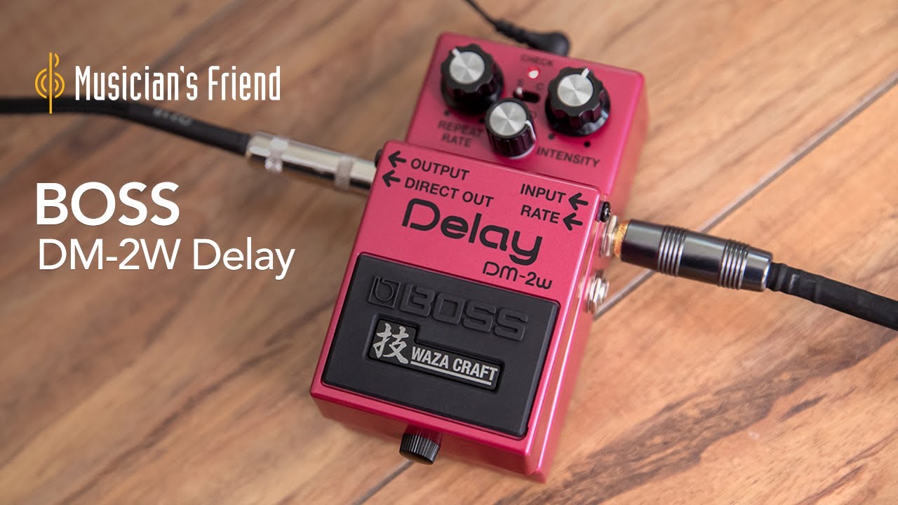 BOSS Waza Craft DM-2W Delay Demo - All Playing, No Talking