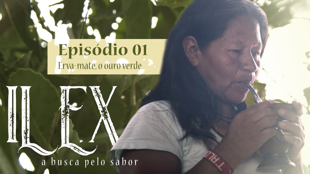 [EP 01/06] ilex - a busca pelo sabor / Erva-mate, o ouro verde