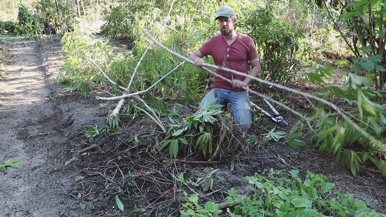 Preparing a Grocery Row Garden for Winter