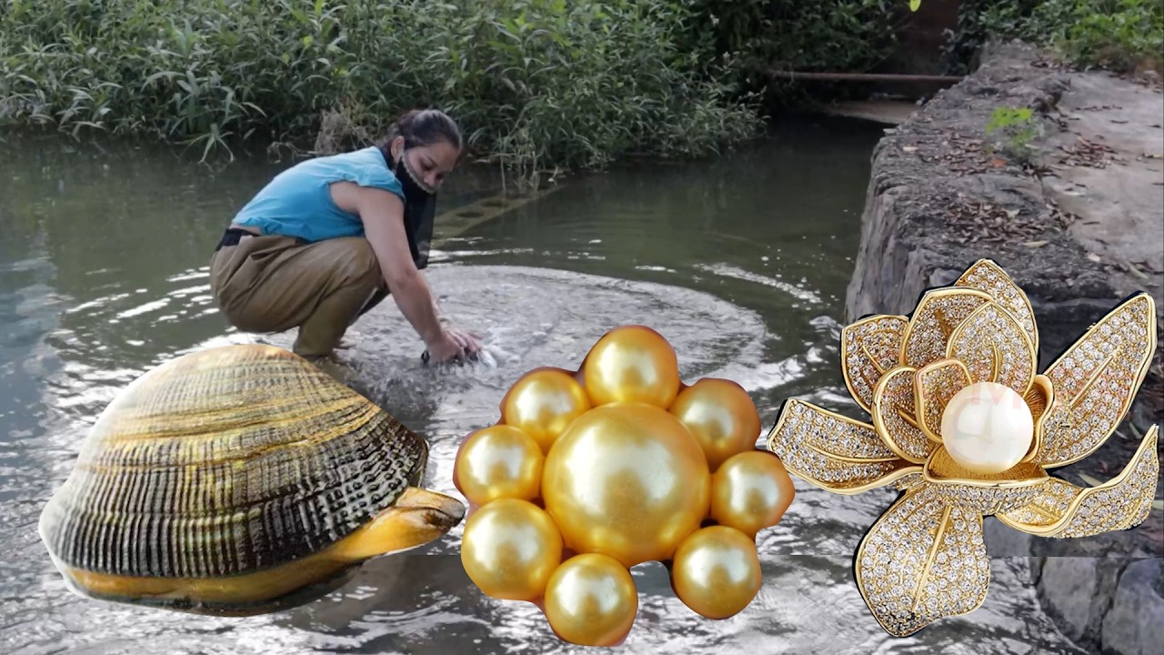 🔥🔥 Amazing discovery by the lake: a beautiful girl discovers rare pearls in strange oyster shells