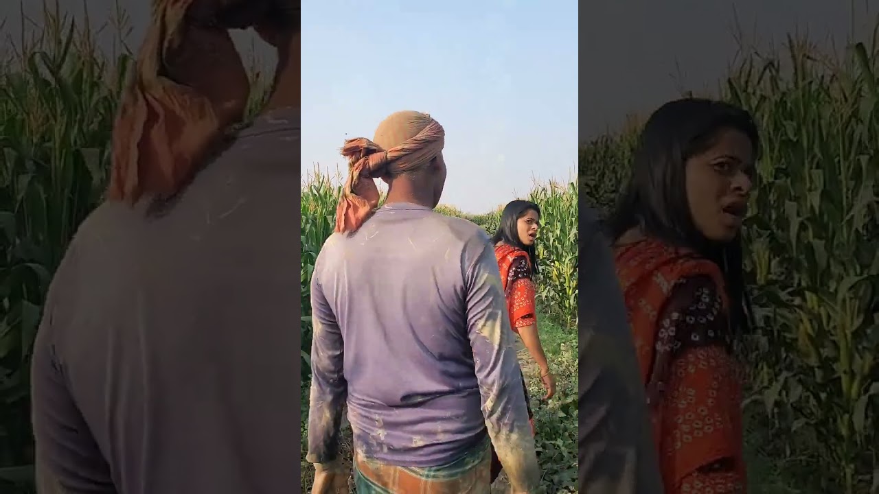 ক্ষেতের মাঝখানে মৌমাছির চাক