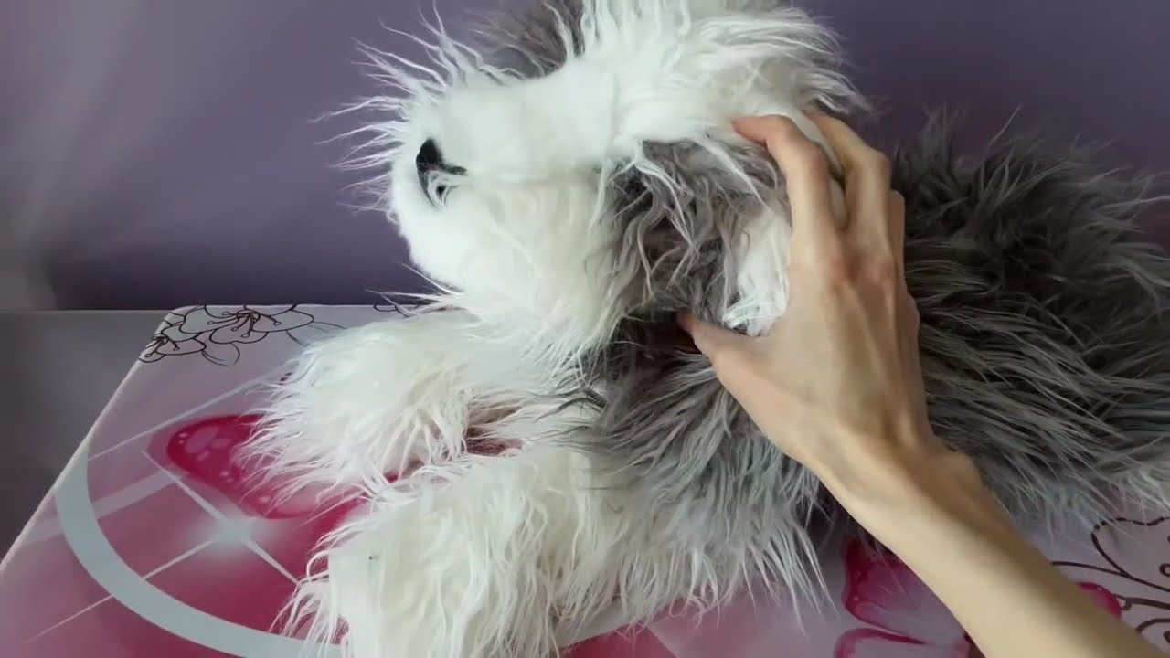 Unboxing William the Jumbo D'Lux Sheepdog Plush by Douglas Cuddle Toys 😲🐾