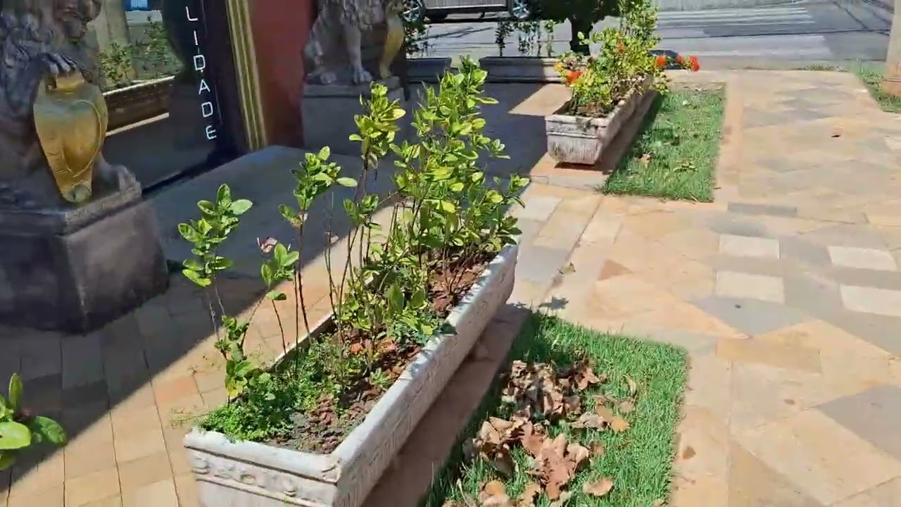 Rotina comum em Indaiatuba, Centro e Natureza.