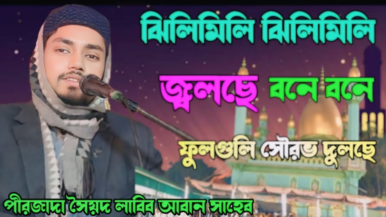 ঝিলিমিলি ঝিলিমিলি জ্বলছে বনে বনে ফুলগুনি সৌরভ দুলছে // পীরজাদা সৈয়দ লাবিব আবান সাহেব হক ফুরফুরা 786