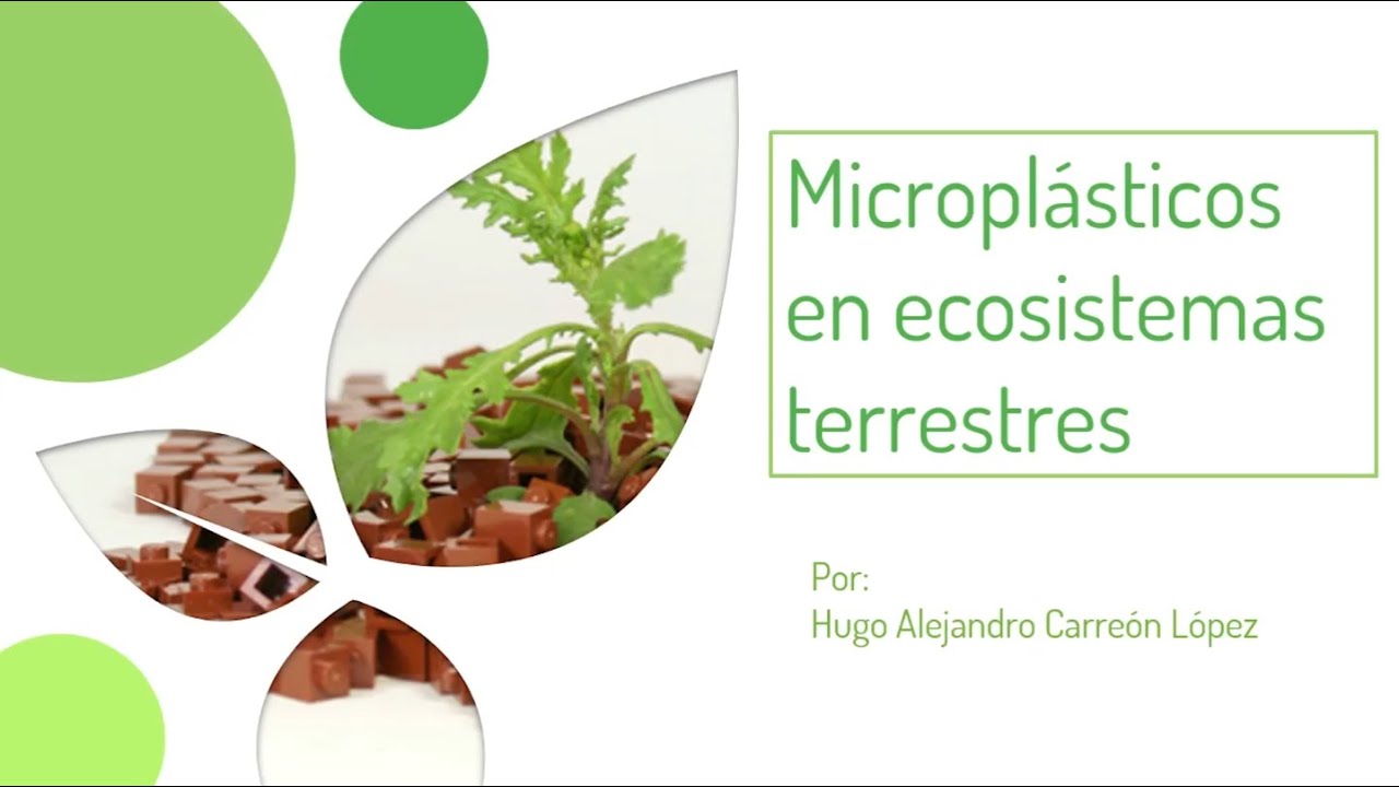Microplásticos en ambientes terrestres