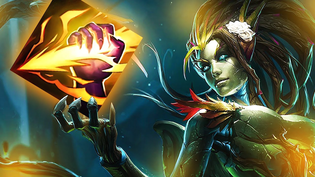 JAK DOBRA JEST ZYRA JUNGLE?