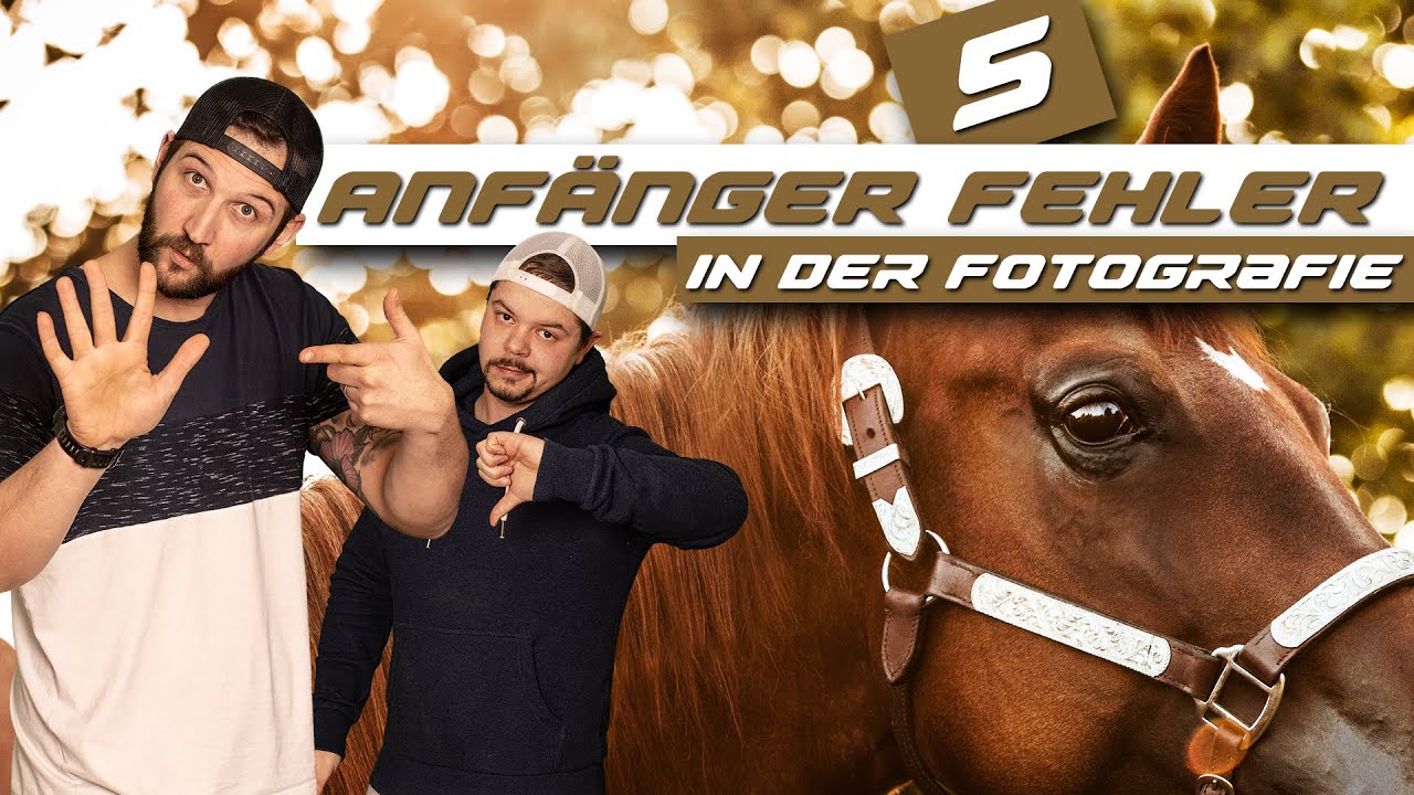 5 Fehler, die man als Anfänger in der (Pferde-) Fotografie macht und wie du sie vermeiden kannst.