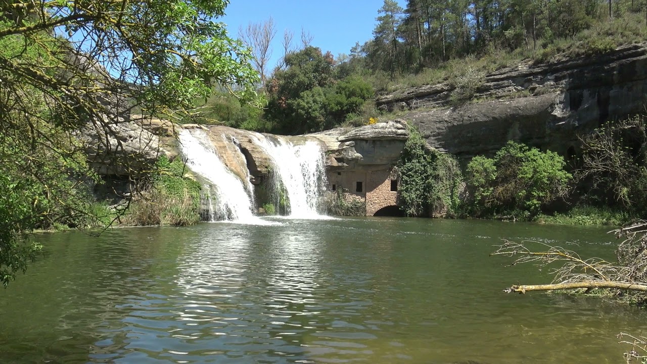 Molí de brotons