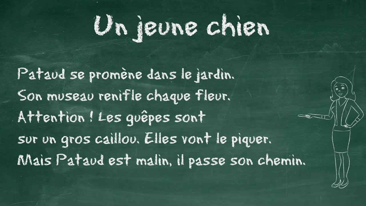 Un jeune chien - Dictée à thème CE1, 7 à 9 ans, FLE begginer, Learn french