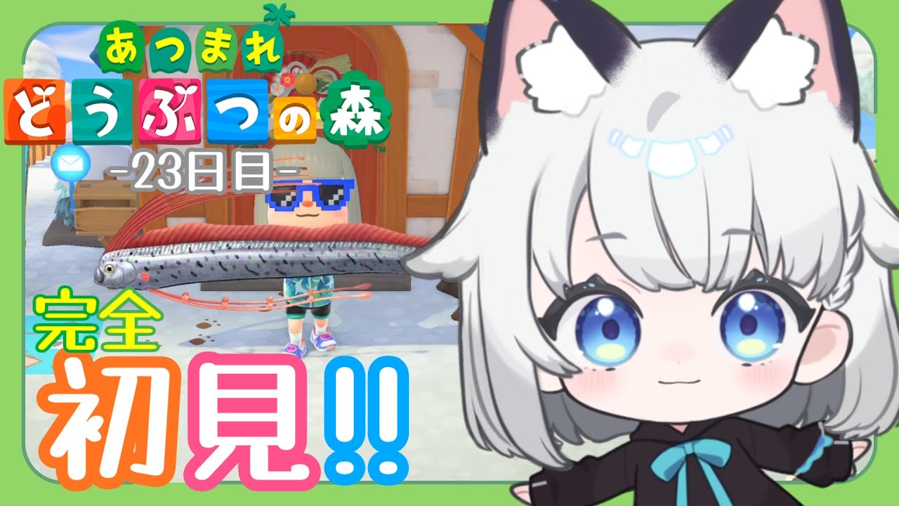 【あつまれどうぶつの森】完全初見!! 島暮らし23日目。【 #野良のあそび場】