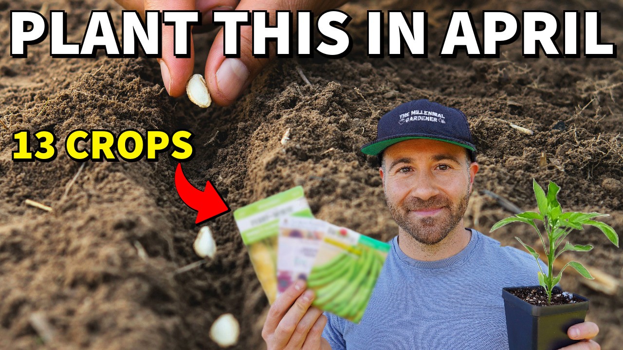The 13 BEST CROPS You'd Be CRAZY Not To Plant In April NOW!