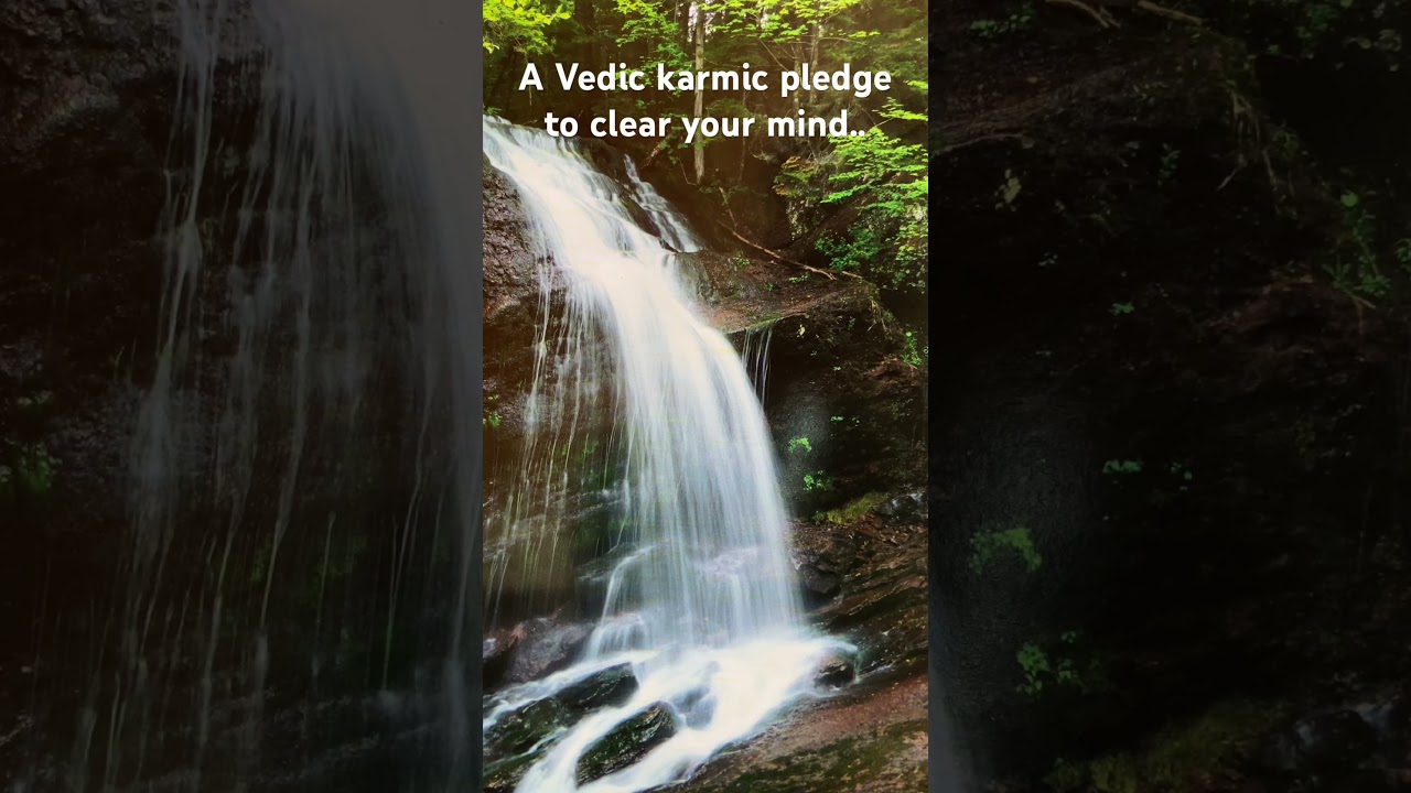A Pledge of karmic Responsibility #vedicwisdom #meditation #agegracefully
