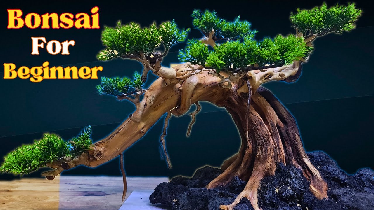 DIY Bonsai Tree For Beginners | New Trend Of Decorating Aquariums With Bonsai