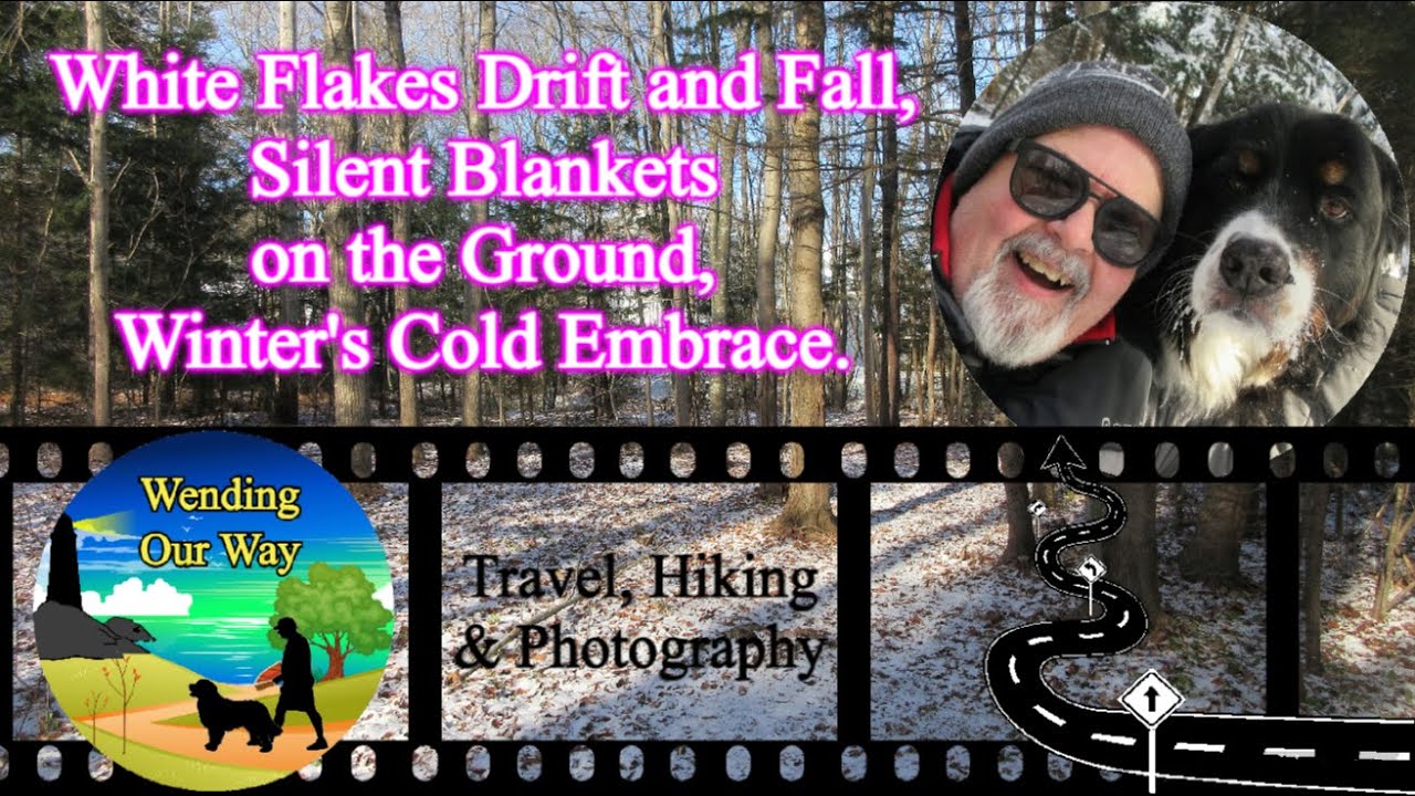 White Flakes Drift and Fall, Silent Blankets on the Ground, Winter's Cold Embrace | Nova Scotia