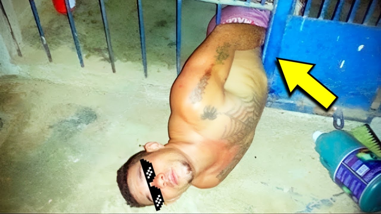 Estos Ladrones Intentaron Robar Y Se Hicieron Famosos Por Lo Tontos