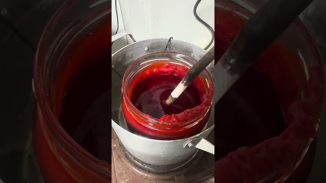 Настольная прививка виноградных почек на коббер.#виноград #виноградарство 