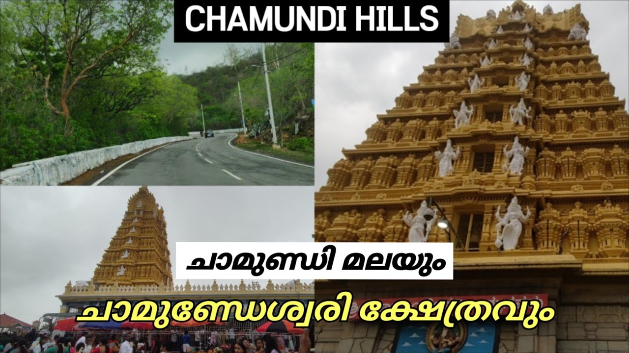 മൈസൂർ ചാമുണ്ഡി ഹിൽസ് | ചാമുണ്ഡി ക്ഷേത്രം | CHAMUNDI HILLS MALAYALAM | Mysore |  Chamundi Temple
