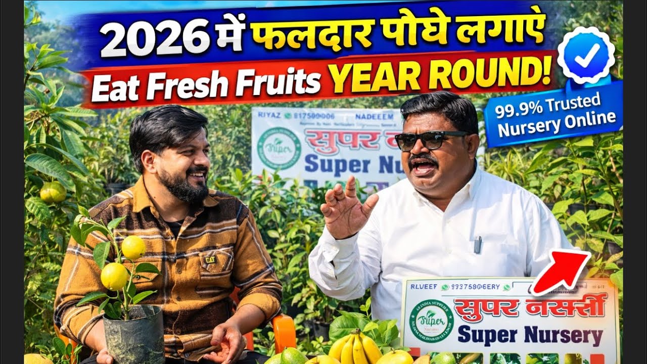 2026 में जरूर लगाएं ये 15 फलदार पौधे 🌱| घर की छत और गमले में फल देने वाले पौधे | Home Gardening 2026