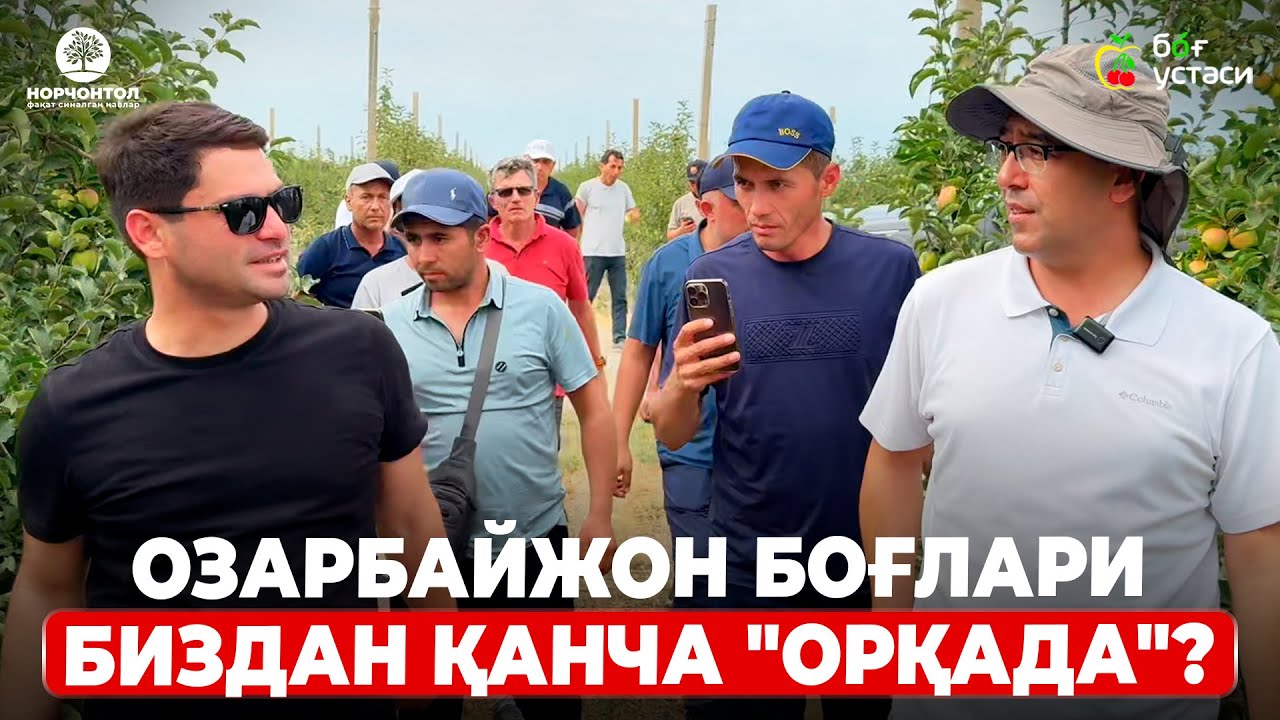 БУ ЯНГИ НАВЛАРНИ ОЗАРБАЙЖОНДАН ОЛИБ КЕЛАМИЗ! | ШУҲРАТ АБРОРОВ #shuhratabrorov #azarbaijan #olma