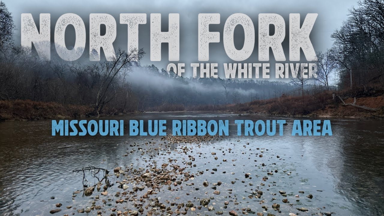 North Fork of the White River | Missouri Blue Ribbon Fly Fishing for Trout