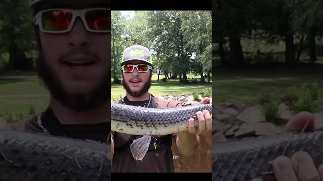 Catching Giant DINOSAUR Fish!! 