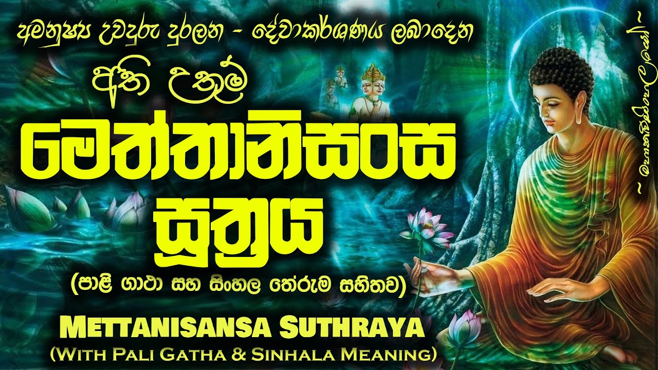 Meththanisansa Suthraya - මෙත්තානිසංස සූත්&zwj;රය (MKS)